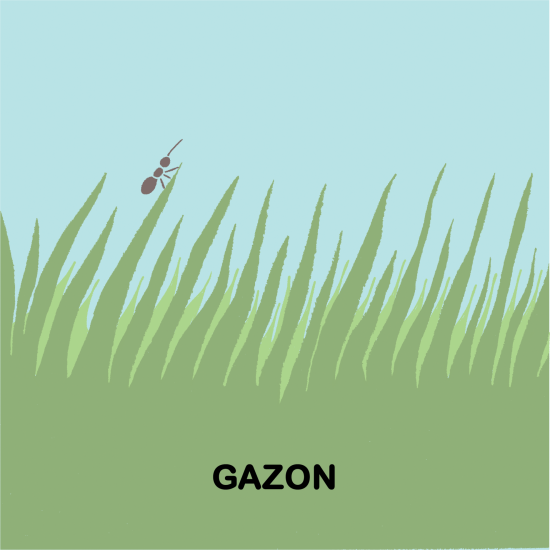 Imagier - Gazon