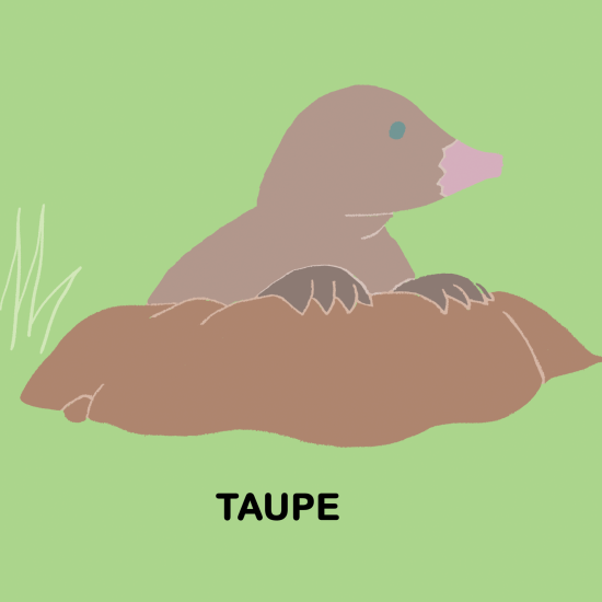 Imagier - Taupe