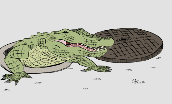 Légendes - Crocodile